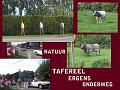 Follow The Leader, Herfstrit (67)